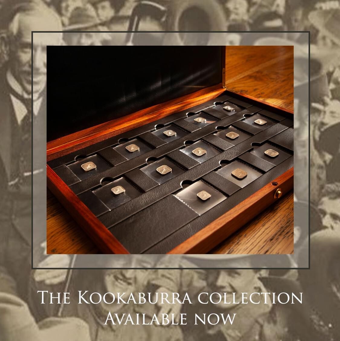 111604-Mobile-Banner-Kookaburra-Collection-1919-1921-March-2026