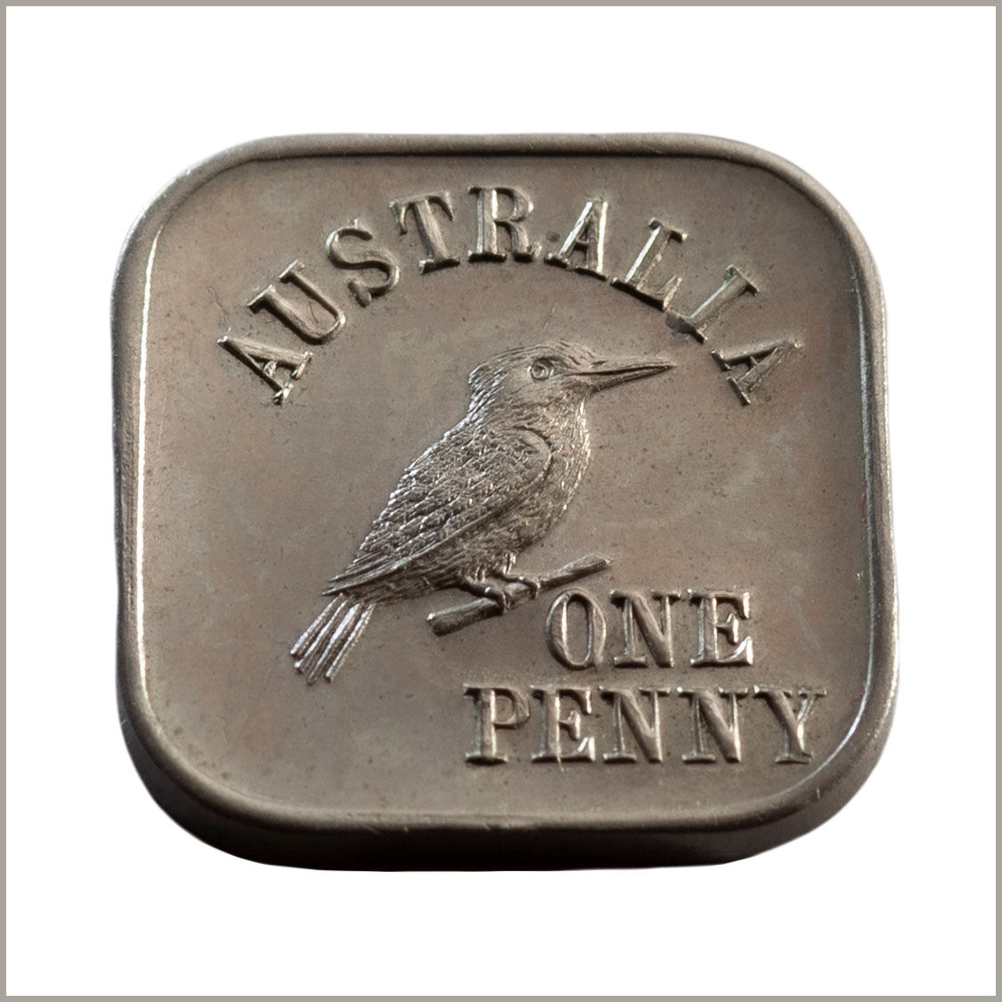 111604-1919-4-Kookaburra-Square-REV-TECH-January-2026