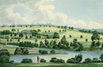 Ann Mash image 2